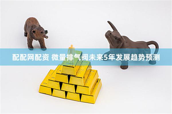 配配网配资 微量排气阀未来5年发展趋势预测